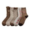 5 Pairs Cute Bear Socks Women High Wool Keep Warm Brown Winter Sock Fuffy Funny Lovely Kawaii Cartoon Christmas Gift Thermal Size 35-40