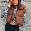 Brown Cropped Sleeveless Down Jacket Vest Coat Female Stand Collar Zipper Waistcoat 2021 Autumn Winter Ladies Casual Outerwear