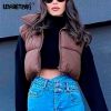 Brown Cropped Sleeveless Down Jacket Vest Coat Female Stand Collar Zipper Waistcoat 2021 Autumn Winter Ladies Casual Outerwear